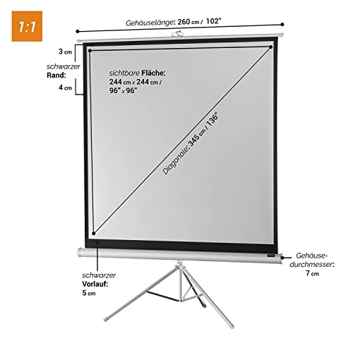 celexon Economy Stativ-Leinwand wei&szlig; 135 | 244x244 cm 1:1 | mobil transportable 4K, Full-HD Beamerleinwand mit manuellem Rollauszug f&uuml;r Heimkino, B&uuml;ro & Outdoor | inkl. Standfu&szlig; + Tragegriff