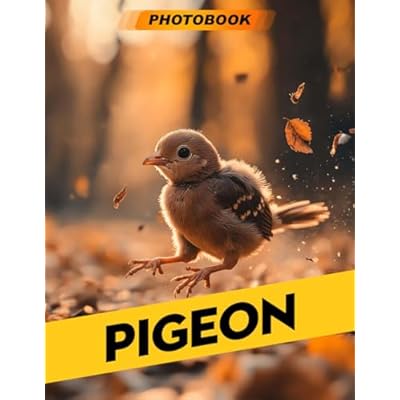 Pigeon Photo Book