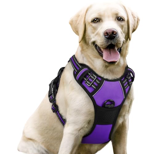 rabbitgoo Dog Harness, No-Pull Pet Harness with 2 Leash Clips, Adjustable Soft Padded Dog Vest, Reflective No-Choke Pet Oxford Vest with Easy Control Handle for Large Dogs, Purple, L