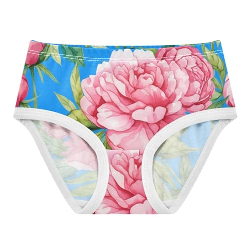 Watercolor Pink Peonies Floral Blue Cute Panties Girl Toddler Girls Underwear Cotton Fun Briefs Girls Undies 2t