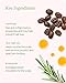 Divi Hair Scalp Serum for Women and Men - Revitalize and Balance Your Scalp - Improves Appearance of Thinning Hair, Nourishes the Scalp and Helps Remove Product and Oil Buildup, 100ml