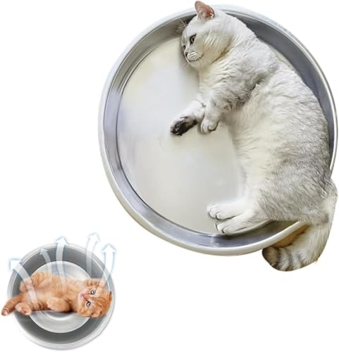 Riuuyyi L A~ {E ėp L Ђ A~ 傫  ~ ΍ ˂ ėp Ђ  킢  ⊴ Ngɂ񂱂̐Q (a46cm)