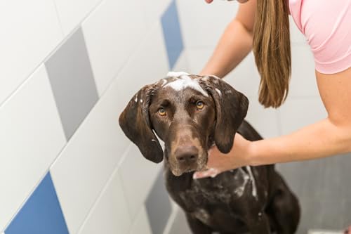 TRIXIE - Color-Shampoo, weiß - 250 ml