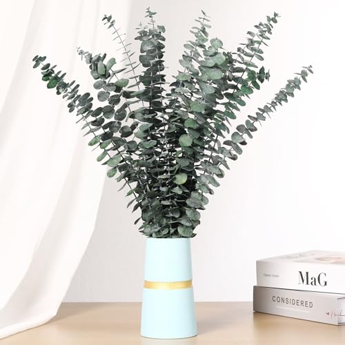 Getrocknete Eukalyptusäste, Packung mit 16 natürlichen echten grünen Eukalyptusblättern, 44 cm erhaltene Eukalyptuspflanze für Hochzeiten, Blumenarrangements, Raumduft und Vasen-Dekoration