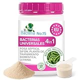 Mr.Bacteria