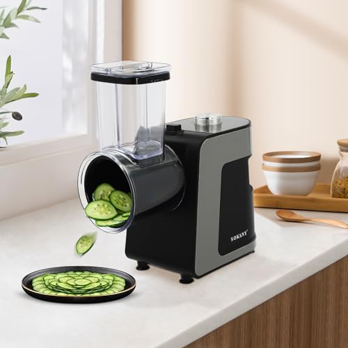 Rallador de verduras eléctrico multifuncional y rallador de queso con 10 cuchillas intercambiables para rallar, rallar y cortar frutas, verduras, queso y nueces