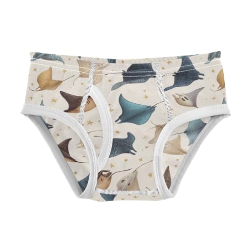 Wusikd Cute Manta Ray Boys' Underwear Cotton Boys Briefs Soft Toddler Underwear 2T