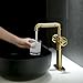 Bathroom Brass Tall Two Handles One Hole Vessel Basin Sink Bowl Mixer Faucet Lavatory Vanity Tap with Deck Plate Fit for 1 or 3 Hole Brushed Gold