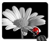 Lady Bug Mouse Pad, Mousepad (Flowers Mouse Pad)