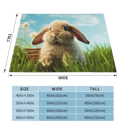 Couverture en micro polaire lapin 127x101 cm pour canapé