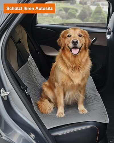 VICBINLY wasserdichte Hundedecke Sofaschutz, Autoschondecke für Haustiere Hundedecke Outdoor Robuste Hundematte als Schutz für Sofa & Bett rutschfeste Unterseite 80 x 60 cm - Grau CTH015G