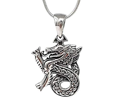 TreasureBay Pendentif Dargon en argent sterling 925 poli avec chaîne pour homme et femme Cover