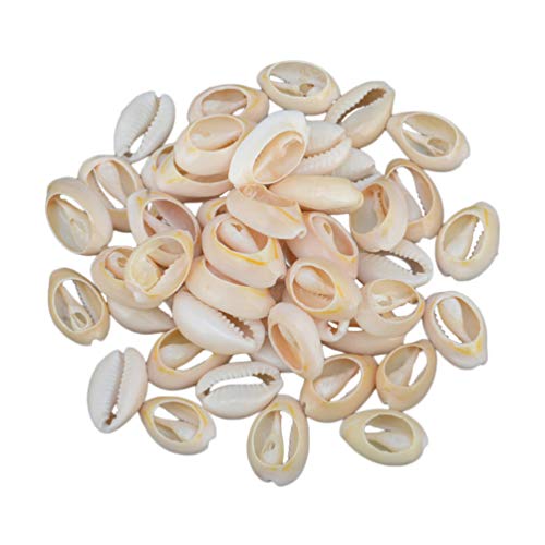 HEALLILY conchas naturales conchas de concha playa de conchas de mar diy artesanía colgante de encanto para joyería collar pulsera haciendo accesorios 50pcs