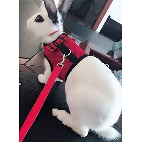 Image of Rabbit Harness with Leash Adjustable Soft Mesh Vest Harness for Bunny Kitten Guinea Pig Rat (L, Red)