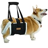 Dog Lift Harness Sling for Medium Dogs - Adjustable No-Slip Rear Leg Support with Padding & Back Fixed Buckle, Hip Dysplasia/ACL/TPLO Surgery Recovery Aid, Dog Sling for Injured,Disabled/Senior Dogs