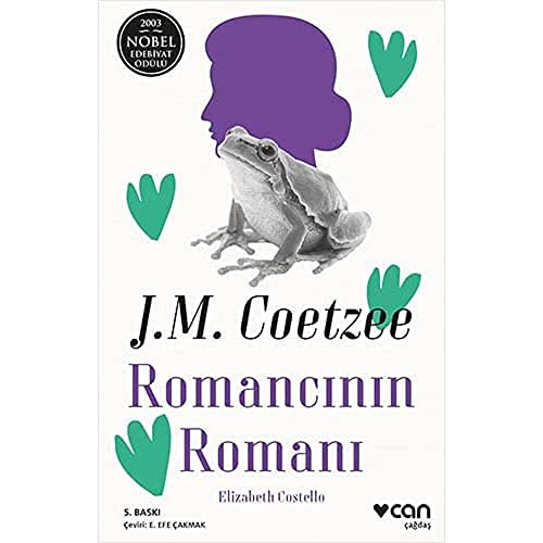 Romancının Romanı