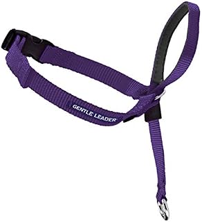 PetSafe Gentle Leader Head Collar with Training DVD, LARGE 60-130 LBS., DEEP PURPLE