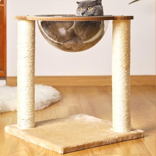 L ܌ 킢   ^L R[i[ u Lbg^[ CeA L̂ Ly  ^s J[1 qL Lbgc[ 40*32*43 L^[