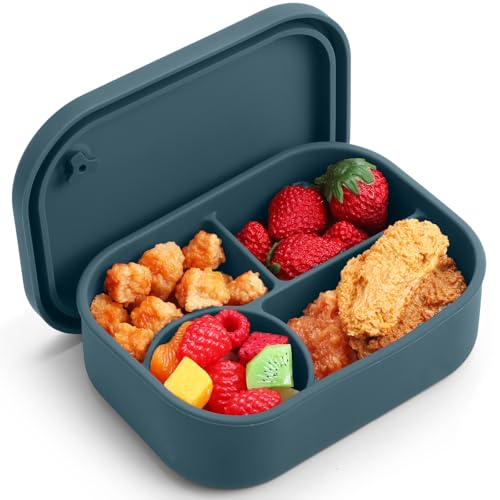 LemonRoad 4-Compartment Silicone Bento Box Dark Blue