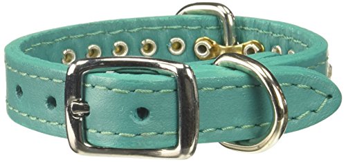 Image of Signature Leather Crystal Dog Collar, Jade Solid Grain Leather, Fits 6 inch-8 inch Neck Size, 10 inch Overall Length