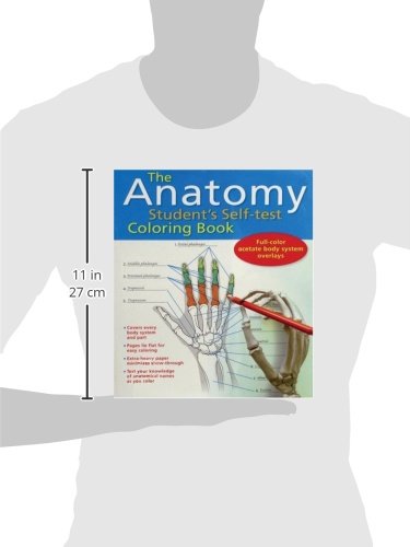 Anatomy Student's Self-Test Coloring Book - Image 2