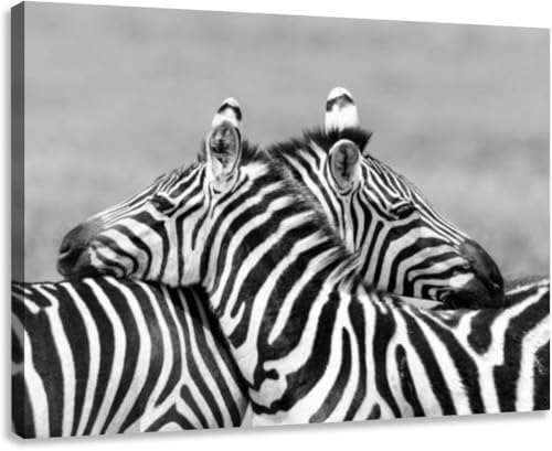 BGTY FTGHRF Canvas Wall Art Decor for Living Room Bedroom