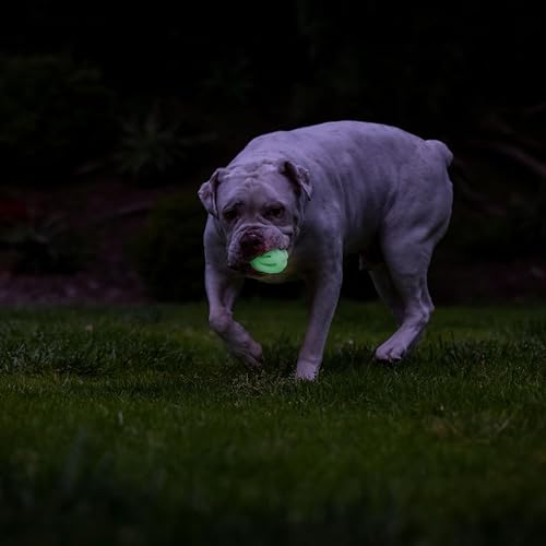 Chuckit! – Air Glow Ball – Phosphoreszierender Spielzeugl für Hunde – Erholungsball für – Der die Luftzirkulation für Hunde erleichtert – Mittlere Größe – Durchmesser von 6,5 cm