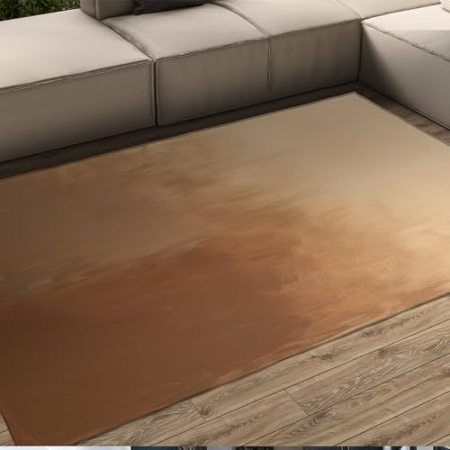 Tapis de salon lavable 60x90 avec dossier antidérapant