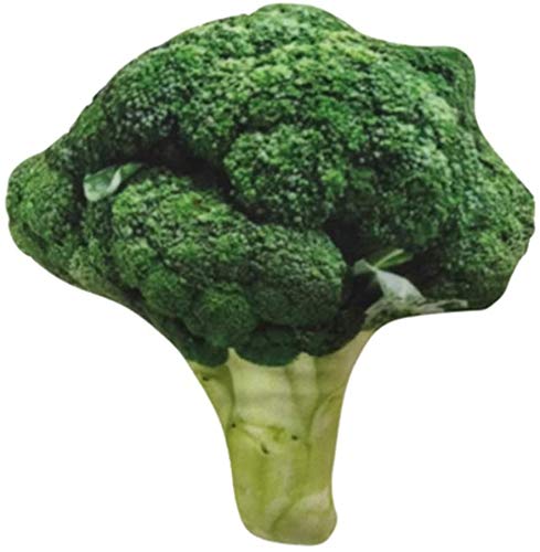 1 Pack Dogs Squeaky Toys Canvas Puppy Dog Chew Toys Hunting Traning Pet Toy (Broccoli)