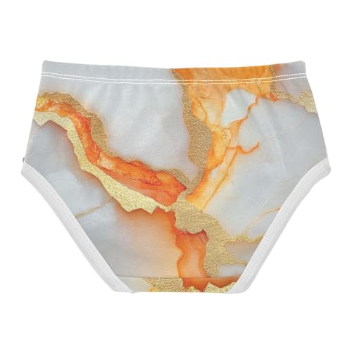 Cotton Briefs Soft Panties Organic Cotton Toddler Underwear for Baby Girls in Sizes 2T-8Y2