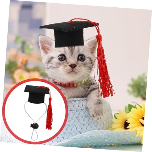 Set de 4 Gorros y Corbatas Graduación para Mascotas Rojo miniatura 4