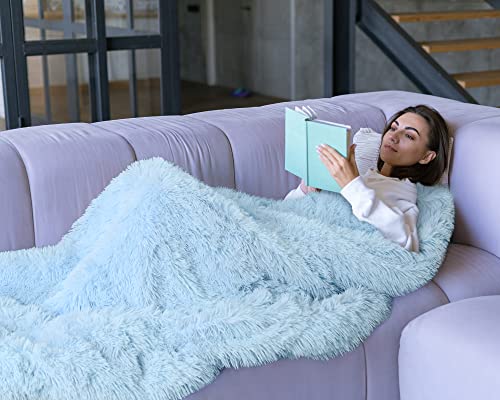 Benron Light Blue Throw Blankets, Super Soft Shaggy Fuzzy Sherpa Blankets, Cozy Warm Lightweight Fluffy Faux Fur Blankets For Bed Couch Sofa Photo Props Home Decor, Washable 60"X80" #TOP3
