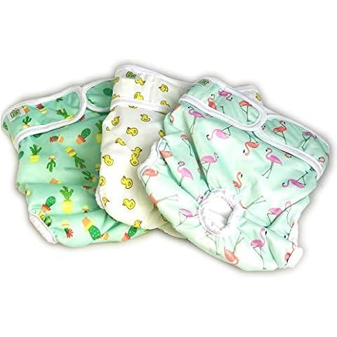 Reusable Dog Nappies - Sanitary Pet Diapers, Highly Absorbent, Machine Washable & Eco-Friendly, 3-Pack (Trending, Large) Cover