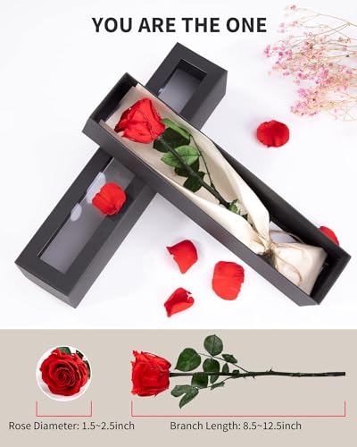 Image of Flowers for Delivery Prime, Preserved Roses Flower Gifts for Women, Real Roses Single Rose Presents for Her, Mom Birthday Gifts from Daughter, Valentines Flowers Red Rose