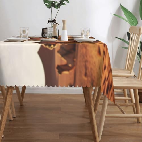 Nappe rectangulaire lavable Rest chameaux 137x183 cm pour table de style rustique - 4