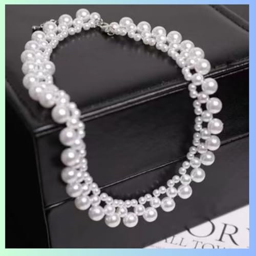 p[lbNX ANZT[ `[J[  Ǝ  uC_ i