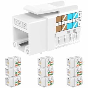 Rapink RJ45 Keystone Jack Cat6 10G, Keystone Jacks UTP Paquete de 10 para placa de pared y panel de conexiones, Rj45 Keystone 90 grados Color blanco para cableado Cat6, Cat5e, Cat5