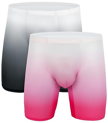 WINDAY Men's Briefs Gradient Color Ice Silk Sports-Inspired Underwear Boxer Briefs N2305