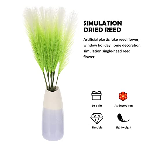 BESPORTBLE 10Pcs Pampas Grama Natural Seco Hastes Coelho Caudas Pampas Grama Buquê de Arranjos de Fl