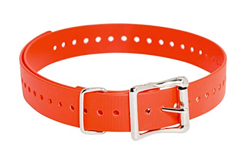 Sportdog Brand 1 Inch Collar Strap, Orange #TOP9