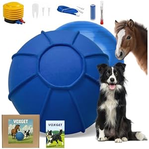 Dog Toy Ball for Dogs, Interactive Dog Training Toy for Medium Large Breeds Outdoor Play, Collies Exercise Agility (Blue,L)