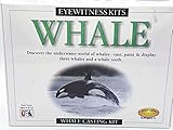 Skullduggery Eyewitness Kit Whale Casting Kit