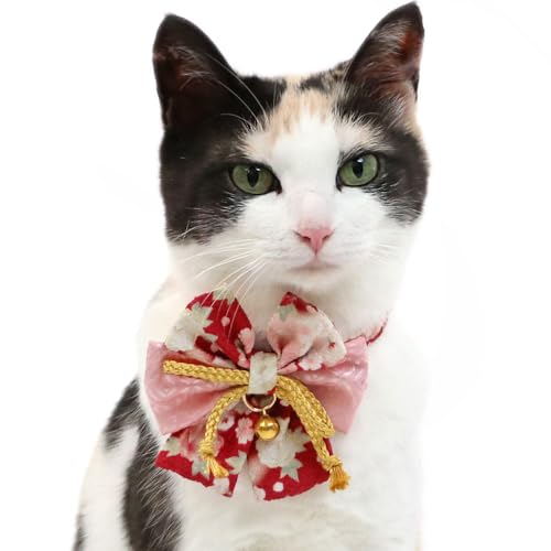 ybgp_CX L H a  ˂  obN  t ѕ bh 