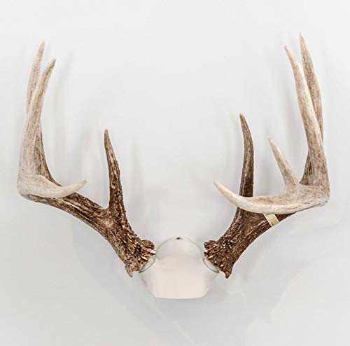 Bone Collector The Change Up Antler Mounting Kit with Skull Cap by Big 8 Products