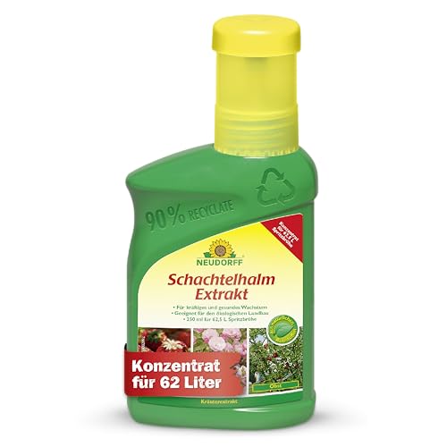 Neudorff Schachtelhalm Extrakt Natürlicher Kräuterextrakt für kräftiges und gesundes Wachstum bei allen Pflanzenarten 250 ml