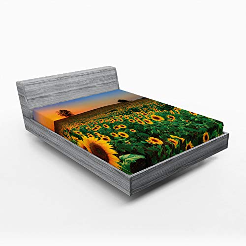 Ambesonne Sunflower 2 Pack Fitted Sheet, Flower Field at Sunset, Bed Cover All-Round Elastic Deep Pockets 2 Pieces, Package Contains 2 Full Size Fitted Sheets, Green Yellow
