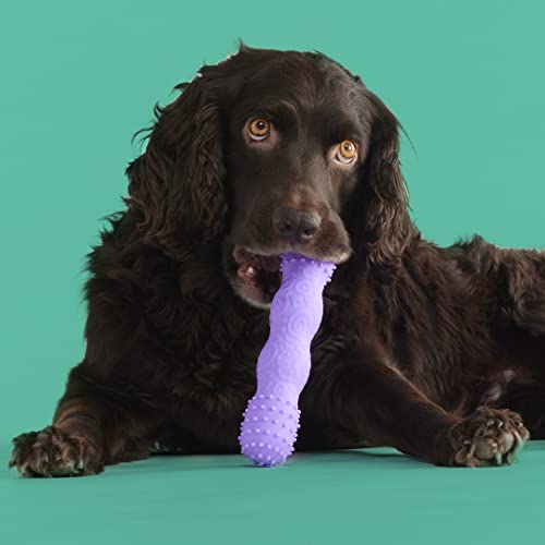 Yomp Toothbuddy Dental Chew Dog Bone - Chew Stick Designed For Safe Pet Play, Made From Textured & Non-Toxic Silicone - For Soft And Medium Chewers #TOP4