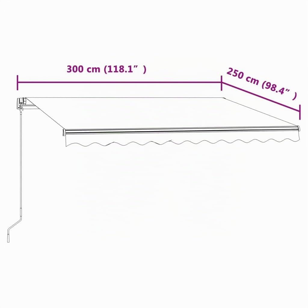 Festnight Store Banne Motorisé 3x2,5 Store banne Electrique avec Télécommande Auvent Rétractable à Bras Repliable pour Balcons Terrasse et Jardin-Anthracite-300 x 250 cm