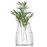 VanEnjoy 7 inch Clear Simple Glass Flower Vase, Decorative Gilded Rim Vase Home Decor for Indoor Centerpiece