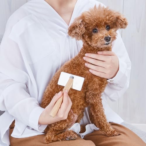 アドメイト(ADD.MATE) ペット用ブラシ 持ち手がロングで持ちやすい プロフェッショナルスリッカーブラシM